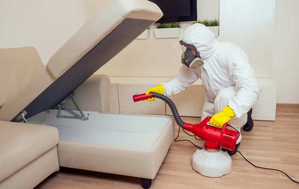 pest control services